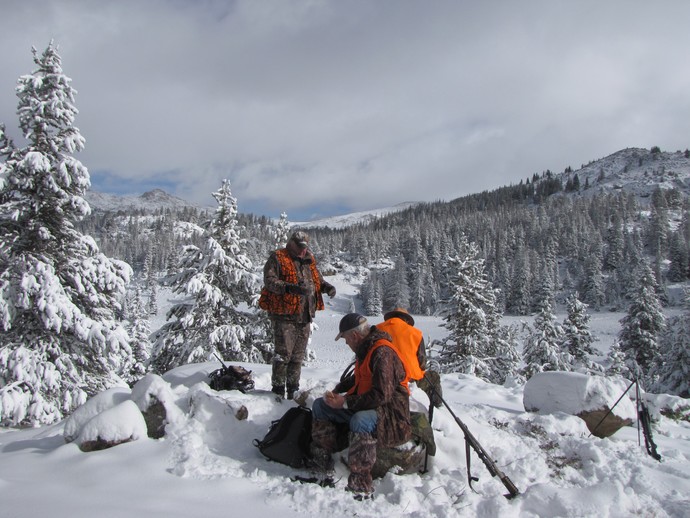 Elk Hunts Photo