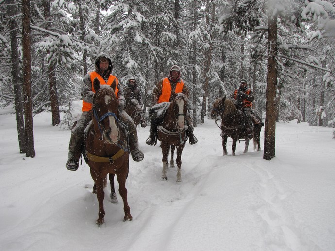 Elk Hunts Photo