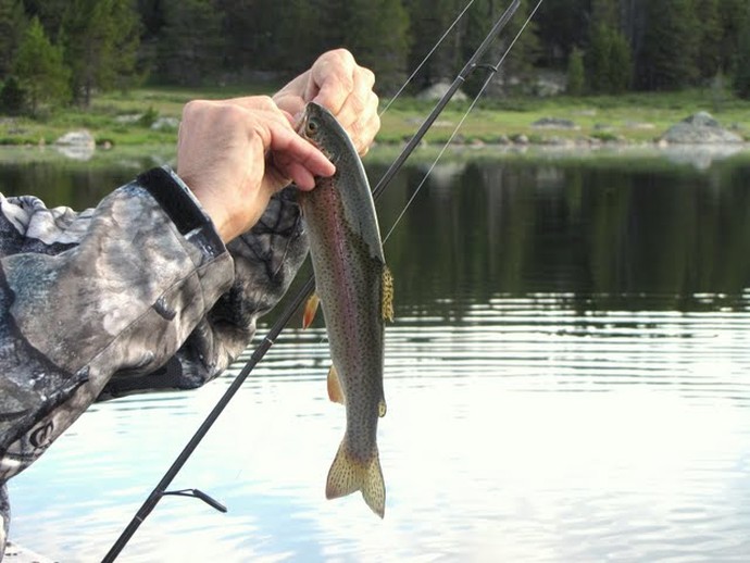 Fishing Photo