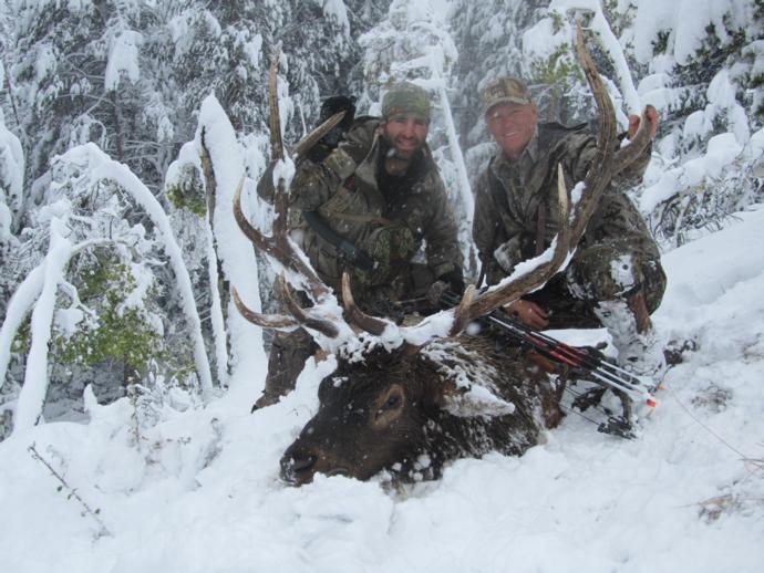 Elk Hunts Photo